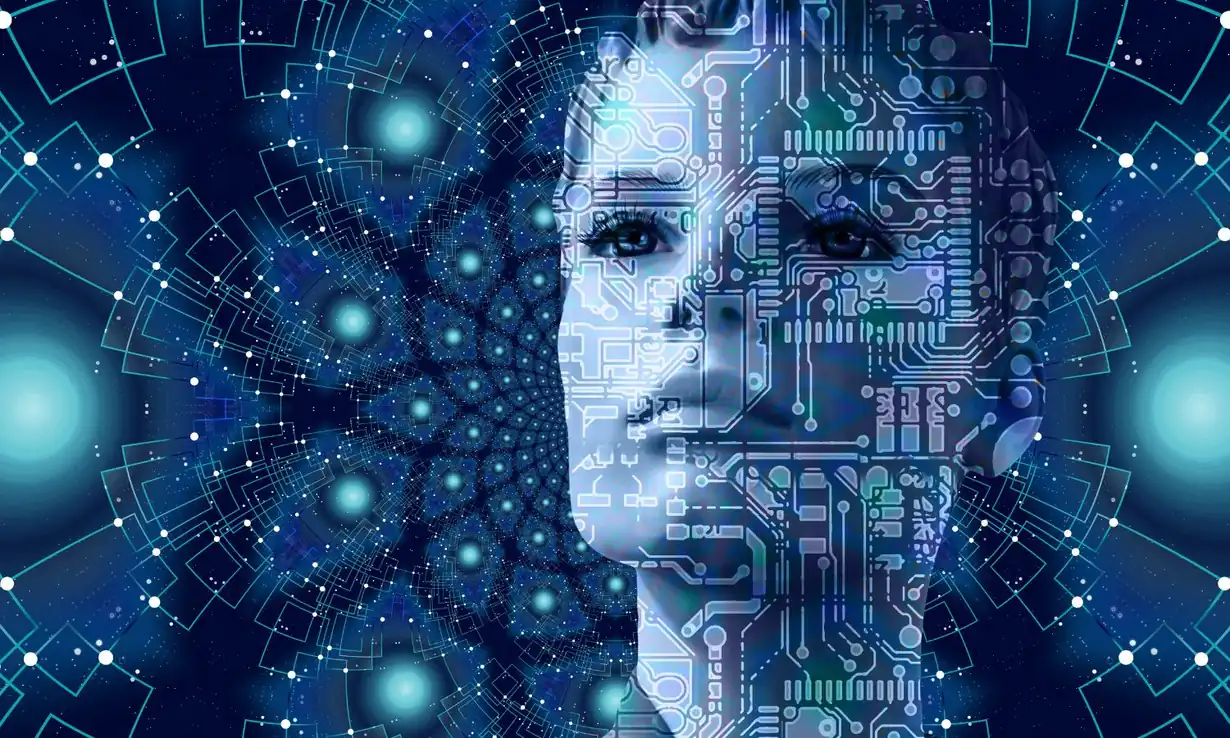Digital Age Entrepreneurship: Tech, Innovation and Growth