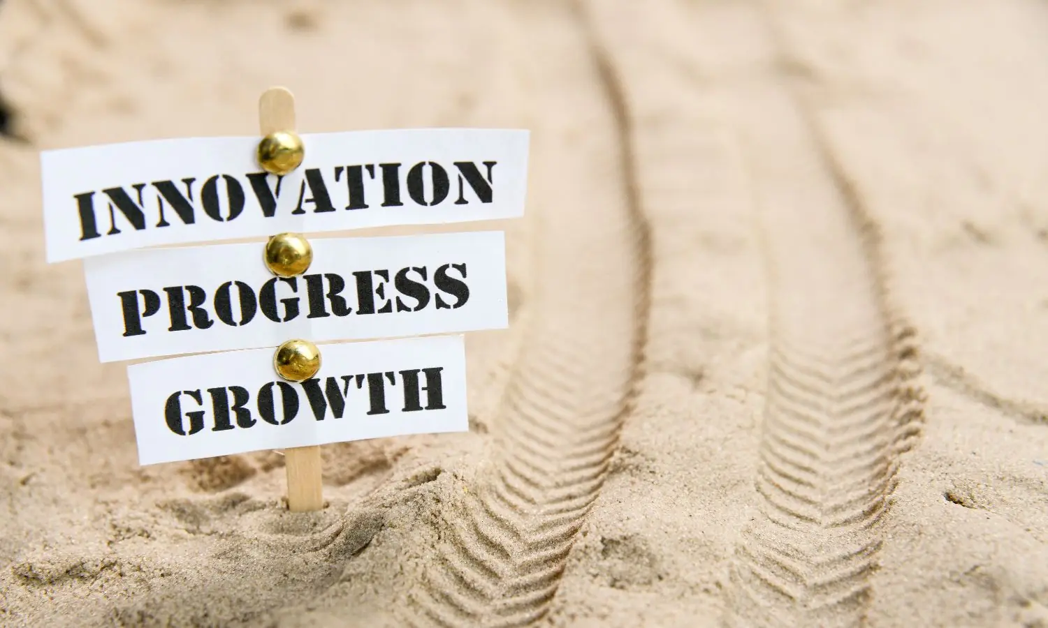 Industry Leaders on Innovation, Growth, and Strategy